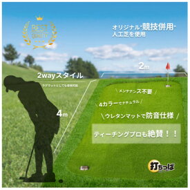 【ふるさと納税】UP11 ゴルフ練習用GRパターマット24(2m×4m)+美浦村ゴルフレッスン・チケット1枚【1462933】