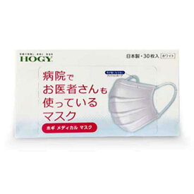 【ふるさと納税】ホギメディカルマスク箱タイプ10箱（1箱/30枚入）