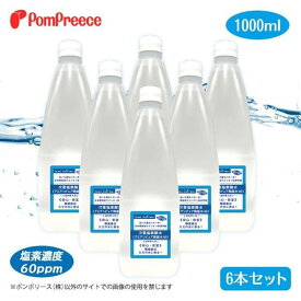 【ふるさと納税】次亜塩素酸水（アミアンピュア除菌水60）1L×6本組