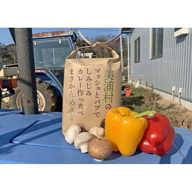【ふるさと納税】美浦村のマッシュとパプでしみじみカレーつくったべ
