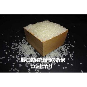 yӂ邳Ɣ[Łzy7NYzEq̂āuS͔|āiRVqJjv8.5kg