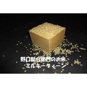 yӂ邳Ɣ[Łzy7NYzEq̂āuĐHœKāi~L[NC[jv20kg(10kg×2)