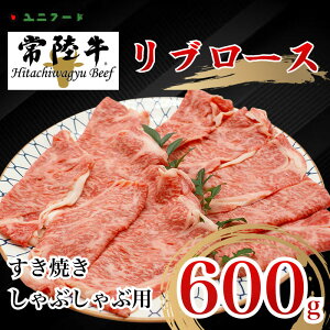 yӂ邳Ɣ[ŁzUF01 Yuh 헤 u[X A4 A5N Ă Ԃԗp 600g ~  Ⓚ i   蕨 Mtg