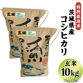 【ふるさと納税】20-21茨城県産コシヒカリ特別栽培米10kg（5kg×2袋）玄米【大地のめぐみ】