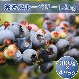 【ふるさと納税】ブルーベリー 1.2kg 無農薬 生 冷蔵 オーガニック 小分け 33-02完熟ブルーベリー1.2kg（300g×4パック）【2024年6月下旬ころから順次発送予定】