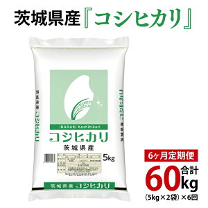 yӂ邳Ɣ[ŁzyIׂeʁzߘa7NY 錧Y RVqJ v15kg`60kgy  Ђ ͂ 錧zi03-54-1j