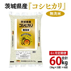 yӂ邳Ɣ[ŁzyIׂeʁzߘa7NY 錧Y ăRVqJ v15kg`60kgy  Ђ ͂ 錧zi03-58-1j