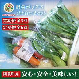 【ふるさと納税】04-05 【選べる回数】阿見町産野菜ボックス詰め合わせセット（7～8品）1ヶ月・3ヶ月・6ヶ月【新鮮 美味しい EM菌 減農薬 有機肥料 阿見町 茨城県】