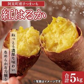 【ふるさと納税】【先行予約 11月頃から順次発送】茨城県阿見町産 さつまいも 紅はるか 5kg×1【サツマイモ 生芋 べにはるか 茨城県 阿見町】(04-10)