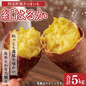 yӂ邳Ɣ[Łzys\ 11珇z錧Y ܂ g͂邩 5kg×1yTc}C  ׂɂ͂邩 錧 z(04-10)
