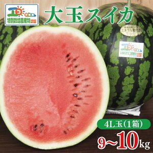 �y�ӂ邳�Ɣ[�Łz�y��s�\��z�y�I�ׂ�T�C�Y�z�X�C�J 1�� 2L~4L �i2026�N6����{�`7�����{���ɂ��͂��j| ������ ���Z �ʕ� �t���[�c ���Y ������ �Â� �������� ��錧�Y��ʃX�C�J�y��n�̂�