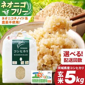 【ふるさと納税】【選べる定期便回数】令和7年産 茨城県特別栽培米コシヒカリ ネオニコフリー玄米5kg｜米 おこめ こしひかり 農家直送 直送 茨城県 阿見町（04-30）