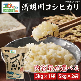 【ふるさと納税】【選べる内容量】令和7年産 茨城県特別栽培認証 清明川コシヒカリ玄米 5kg・玄米 5kg×2袋【米 おこめ こしひかり 特別栽培米 農家直送 直送 茨城県 阿見町】（04-19-1）