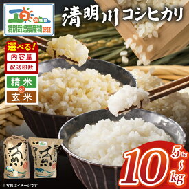 【ふるさと納税】米 5kg 10kg コシヒカリ 令和7年産 茨城県産 特別栽培米 精米 白米 玄米 おこめ 精米 清明川 定期便 3ヶ月 6ヶ月 農家直送 阿見町（04-01）