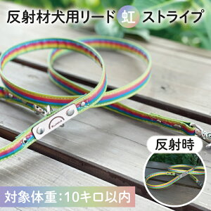 yӂ邳Ɣ[ŁzwXgCvxIWiˍނ̌錢p[hy^10kgpzyU  U  錧z(40-03)