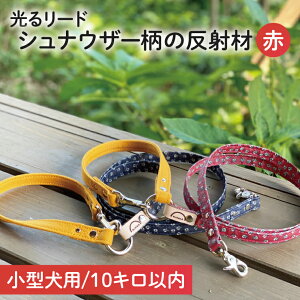 yӂ邳Ɣ[ŁzyJ[IׂzwViEU[ ()xwViEU[ ()xIWiˍނ̌錢p[hy^10kgpzyU  U   錧z(40-09)