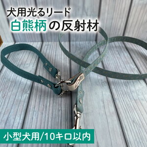 yӂ邳Ɣ[ŁzwFxIWiˍނ̌錢p[hy^p10L܂ŁzyU  U   錧z(40-21)