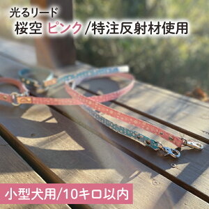 yӂ邳Ɣ[Łzwi炼jisNjxIWiˍނ̌錢p[hy^p10L܂ŁzyU  U   錧zi40-24j