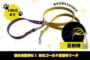 yӂ邳Ɣ[ŁzwS[hxˍނ̌錢p[hy^p10L܂ŁzyU  U   錧zi40-29j