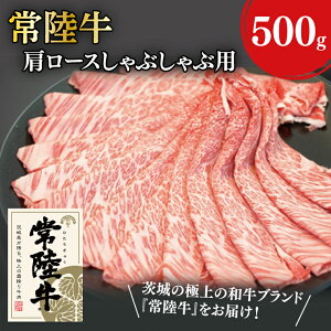 yӂ邳Ɣ[Łz31-02 헤[XԂԗp 500gy헤 [X Ԃ   錧z