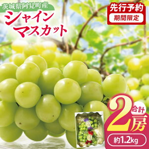yӂ邳Ɣ[ŁzyIׂzys\zy2025N10ȍ~zVC}XJbgy}XJbg Ԃǂ uhE  t[c ʕ   錧zi49-01j