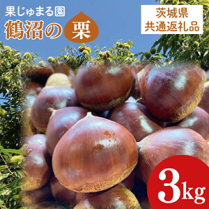 yӂ邳Ɣ[ŁzyIׂeʁzy錧ʕԗizΉsYߏ̐I1`3kgy I {  ʕ _ قق錧 10000~ȓ 1~ȓ 25000~ȓ 3~ȓz