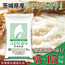 楽天市場】茨城県産 コシヒカリ10kgの通販