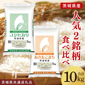 yӂ邳Ɣ[Łzy錧ʕԗizylC2Hהׁzߘa7NY 錧Y RVqJE܂@5kg×e1܁iv10kgjy  ͂ 錧zi03-65-1j