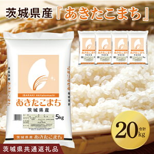 yӂ邳Ɣ[Łzy錧ʕԗizߘa7N錧Y ܂20kgi5kg×4܁jy   ͂  錧zi03-72j