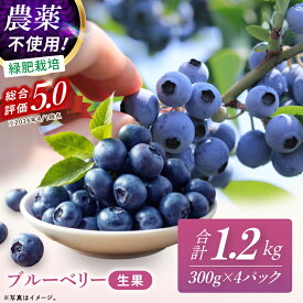 【ふるさと納税】完熟 ブルーベリー 1.2kg （300g×4パック） 国産 期間限定 数量限定 冷蔵 果物 春 旬 朝摘み 朝採り 新鮮 産地直送 フレッシュ フルーツ 無農薬 農薬不使用 緑肥栽培 送料無料 高級 茨城県 阿見町 【先行予約｜2026年6月下旬～順次発送】(19-01-1)