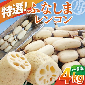 yӂ邳Ɣ[Łzys\zyIzӂȂܘ@(4kg)3`6{yVs i ̘@ V 󏭕i _炩z(82-01-1)