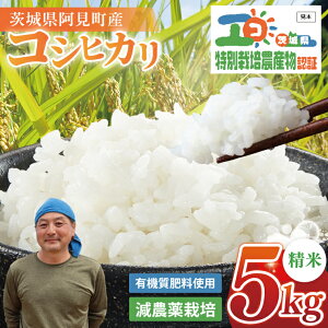 yӂ邳Ɣ[Łzy2025N10{蔭zylCzߘa7NY RVqJ5kg ͕ lIjRt[yЂ  ٓ ɂ IjM S S L@엿 ʍ͔| 