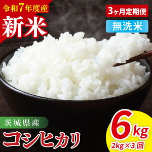 yӂ邳Ɣ[Łzyߘa7NY VāzyIׂPiE։񐔁z錧YRVqJ2kg or 錧Y܂2kgb  RVqJ    ͂  錧 錧Y