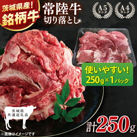 【ふるさと納税】【茨城県共通返礼品】選べる容量！選べる回数！常陸牛切り落とし 250g～36kg【銘柄牛 牛肉 使いやすい 小分け 個包装 使い切り 冷凍 たんぱく質 ビタミン 茨城県産】