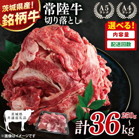 【ふるさと納税】【茨城県共通返礼品】選べる容量！選べる回数！常陸牛切り落とし 250g～36kg【銘柄牛 牛肉 使いやすい 小分け 個包装 使い切り 冷凍 たんぱく質 ビタミン 茨城県産】