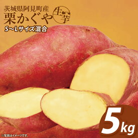 【ふるさと納税】【12月下旬より順次発送】さつまいも くりかぐや5kg【甘藷 甘い さつま芋 サツマイモ 薩摩芋 茨城県産 茨城県 阿見町】(90-01)