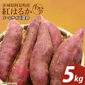 【ふるさと納税】【12月下旬より順次発送】さつまいも 紅はるか5kg【甘藷 甘い さつま芋 サツマイモ 薩摩芋 茨城県産 茨城県 阿見町】(90-04)