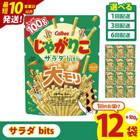 【ふるさと納税】【10営業日以内に出荷】【選べる定期便回数】カルビー じゃがりこサラダ bits 大モリ（100g）×12個｜Calbee お菓子 菓子 おやつ おかし ぽてち ポテチ スナック おつまみ ジャガイモ じゃがいも（93-52）