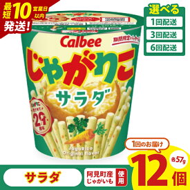 【ふるさと納税】【選べる定期便回数】【10営業日以内に出荷】カルビー じゃがりこサラダ （57g） 12個｜Calbee お菓子 菓子 おやつ おかし スナック おつまみ ジャガイモ じゃがいも(93-16）