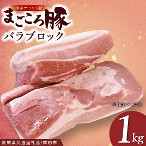 yӂ邳Ɣ[Łzy錧ʕԗi/gcszY܂؃oubN1.0kg| Â  Ǖi ŏ㋉ 錧Y(92-07)