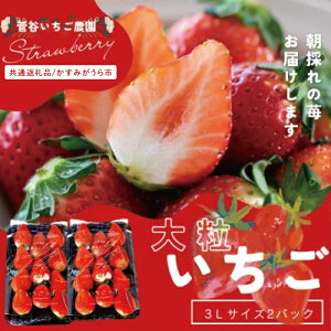 yӂ邳Ɣ[Łzys\zu݂sʕԗivJ̊nwqx 3LTCY 11×2pbN(101-01)