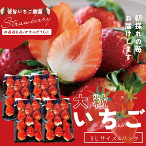 yӂ邳Ɣ[Łzys\zu݂sʕԗivJ̊nwqx 3LTCY 11×4pbN(101-02)