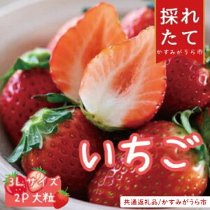 yӂ邳Ɣ[Łzys\zu݂sʕԗivJ̊n 3LTCY 18(420g)×2pbN(101-03)