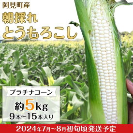 【ふるさと納税】とうもろこし 約5kg 白いとうもろこし 朝採れ クール便 20-24阿見町産朝採れとうもろこし約5kg（プラチナコーン・9本～15本入り）【2024年7月～8月初旬頃に発送予定】