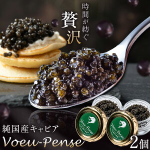 yӂ邳Ɣ[ŁzLrA YLrA Voeu-Pense 1 2 s12{oׁtLrAtBbVJpj[  `EU NbJ[ oQbg pX^ 錧 ͓