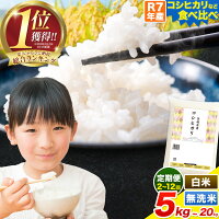 【ふるさと納税】【限定寄附額】令和7年産 こしひかり 米 茨城 ふるさと米...