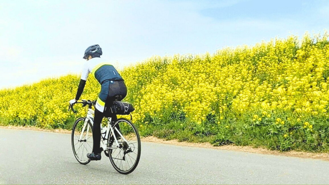 楽天市場 | 茨城県河内町 - 菜の花のイエローに癒されて?春風を感じる 