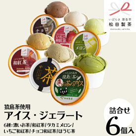 【ふるさと納税】猿島茶使用 アイス ジェラート 6個入 詰め合わせ （ 濃いお茶 / 和紅茶 / タカミメロン / いちご和紅茶 / チョコ和紅茶 / ほうじ茶 ）各1個 ふるさと納税 ギフト お菓子 お祝い