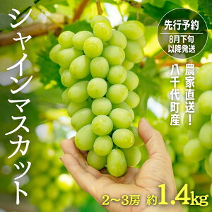 yӂ邳Ɣ[Łzy s\ 2026N8{ȍ~ z _ƒ ! 㒬Y VC}XJbg  1.4kg i 2`3[ j }XJbg t[c ʕ st Ԃǂ uhE  t[c ӂ