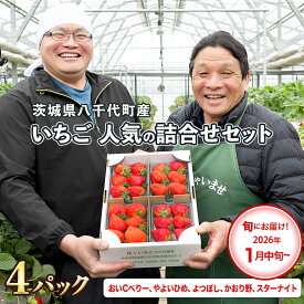 【ふるさと納税】【 先行予約 2026年1月中旬以降発送 】 数量限定 農家直送 ♪ 八千代町産 いちご ボリュームパック （ 4パック ） 人気 の 詰め合わせ セット イチゴ 苺 季節限定 茨城県 フルーツ 果物 食べ比べ セット 2026年発送 2026年先行受付 2026年 [AJ002ya]